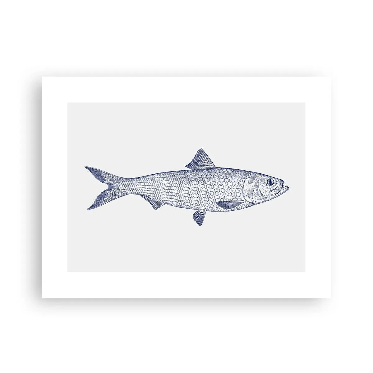 Plakat - Hilsner fra de nordlige have - 40x30 cm