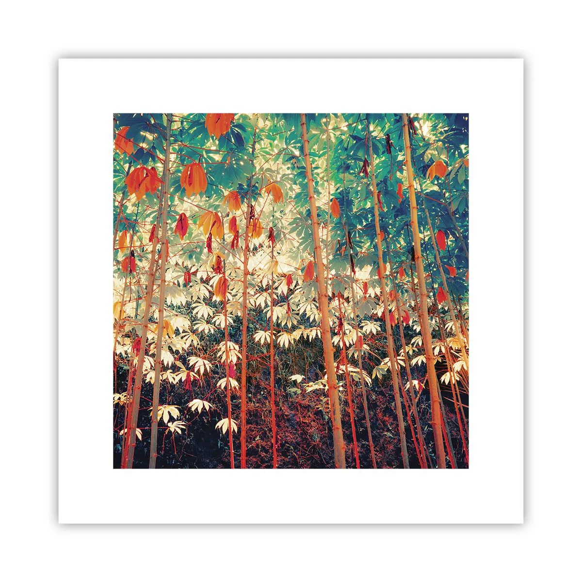 Plakat - Bladenes hemmelige liv - 30x30 cm
