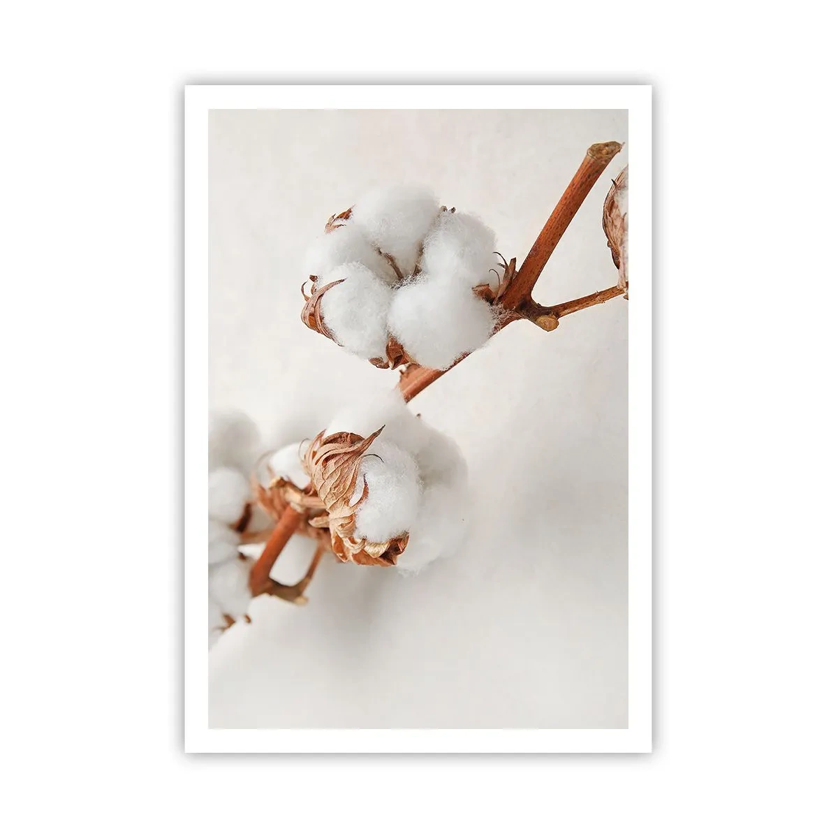 Plakat - Bare kramme - 70x100 cm