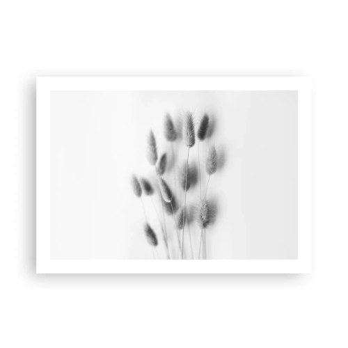 Plakat - Dens bløde græs - 70x50 cm