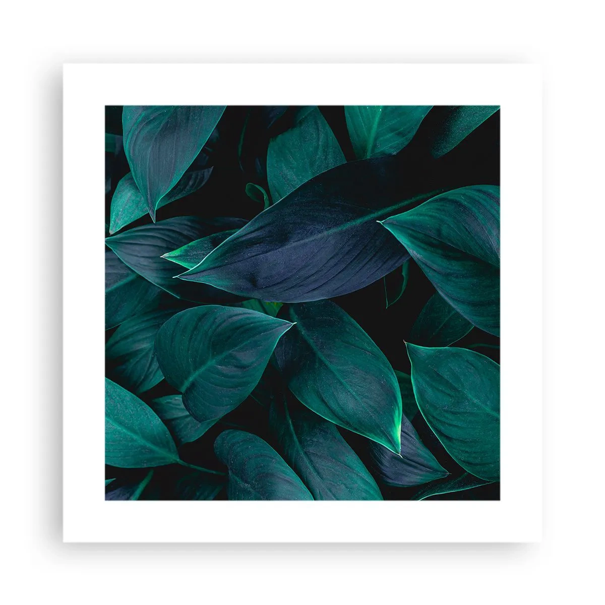Plakat - Grønt i sig selv - 40x40 cm