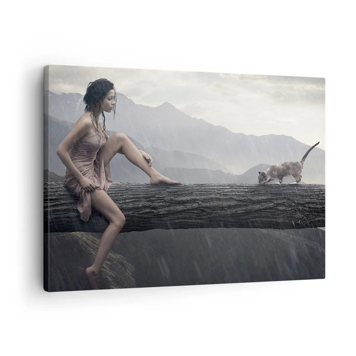 Lærredstryk - Billede på lærred - En kvinde og en kat på en træstamme i regnvejr med udsigt over bjergene. - 70x50cm - Skønhedens toppe - Moderne vægdekoration til stue og soveværelse ARTTOR