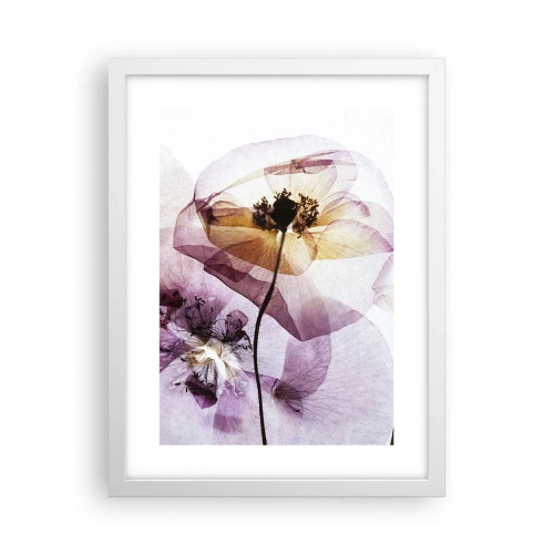 Plakat i hvid ramme - Blomsterlegeme dias - 30x40 cm