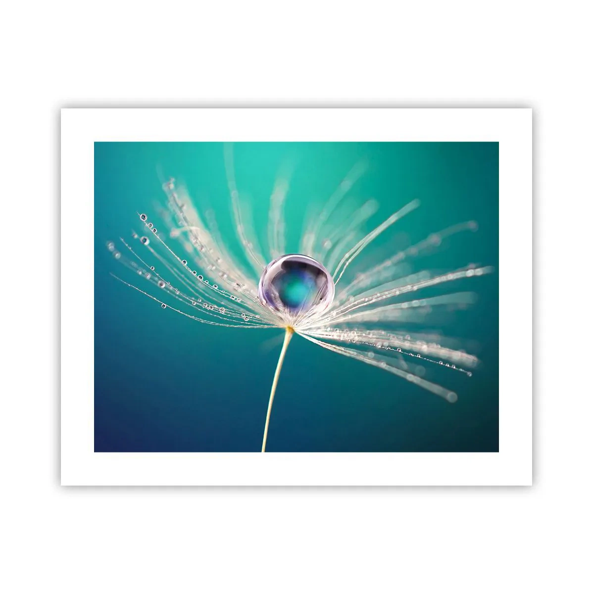 Plakat - Mystisk øjeblik - 50x40 cm