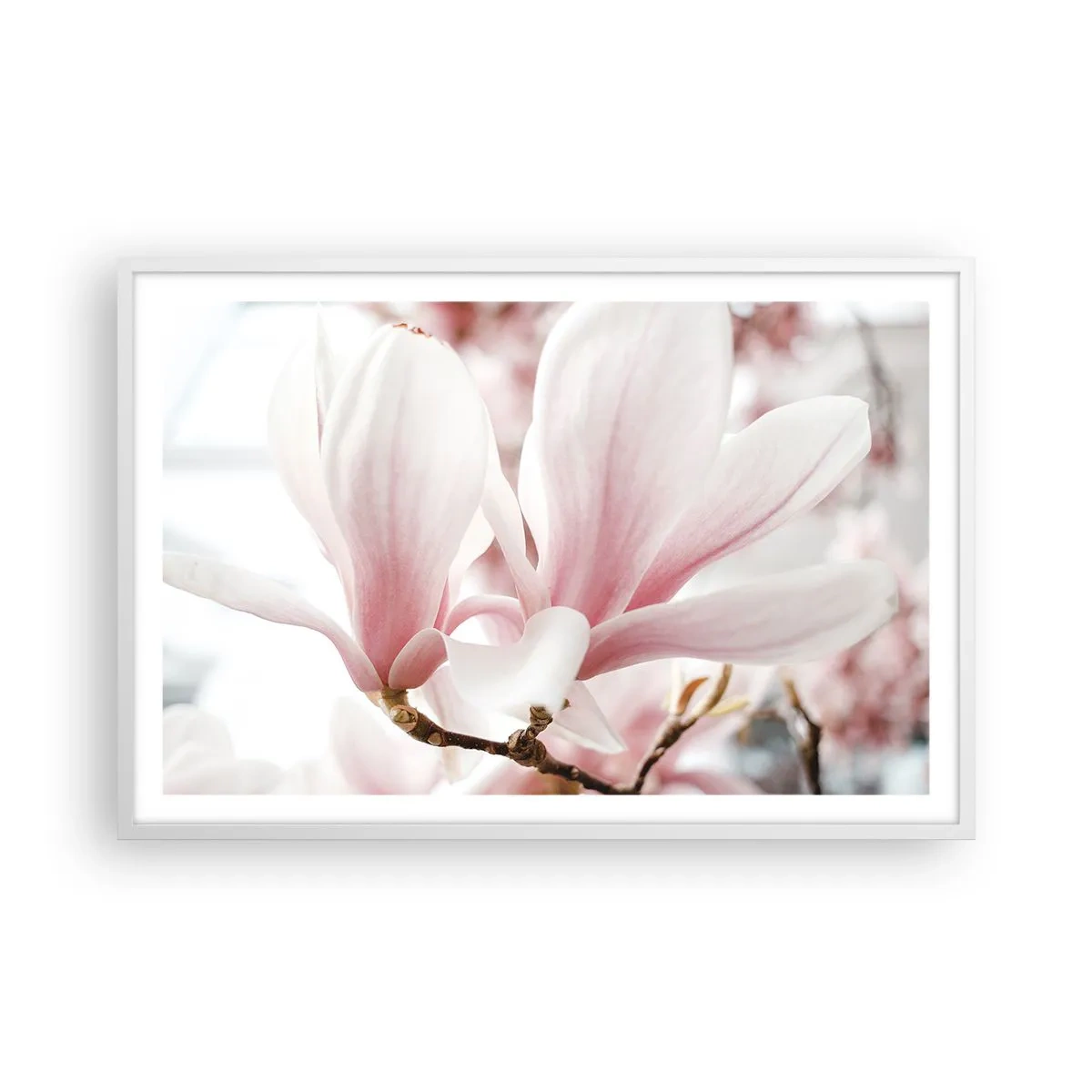 Plakat i hvid ramme - Ømhedens umådelighed - 91x61 cm