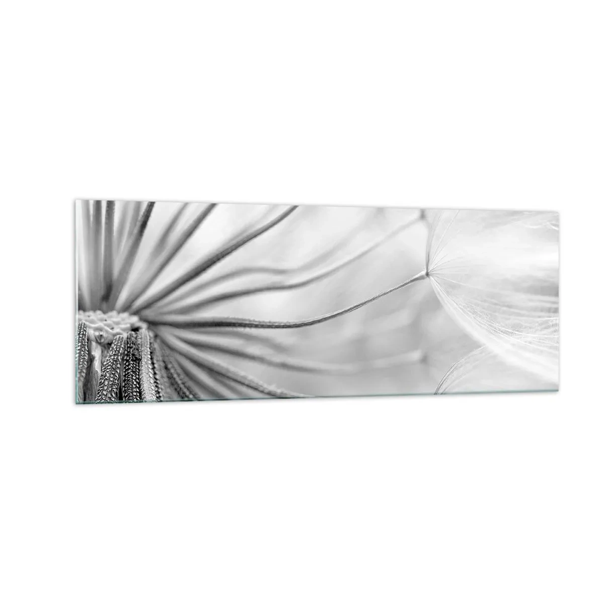 Billede på glas - Blæsende drager - 140x50 cm
