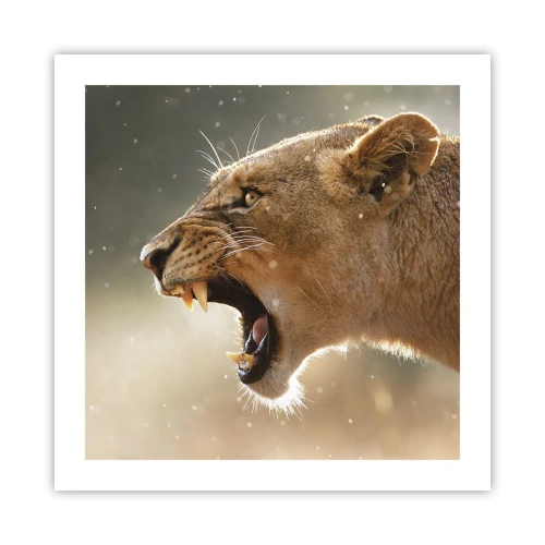 Plakat - Prøv ikke at lytte - 50x50 cm