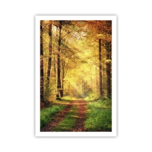 Plakat - Skovgylden stilhed - 61x91 cm