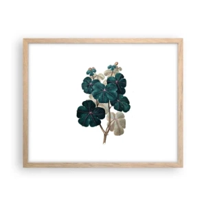 Plakat i ramme af lyst egetræ - Fra et gammelt herbarium - 50x40 cm