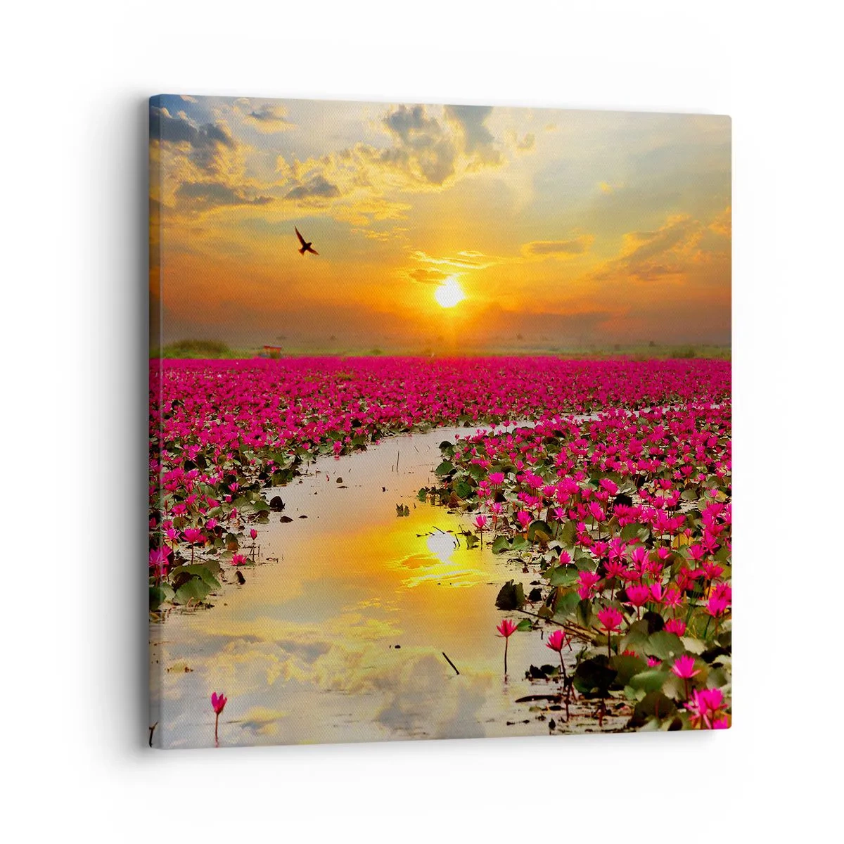 Lærredstryk - Billede på lærred - Søens hemmelige liv - 30x30 cm