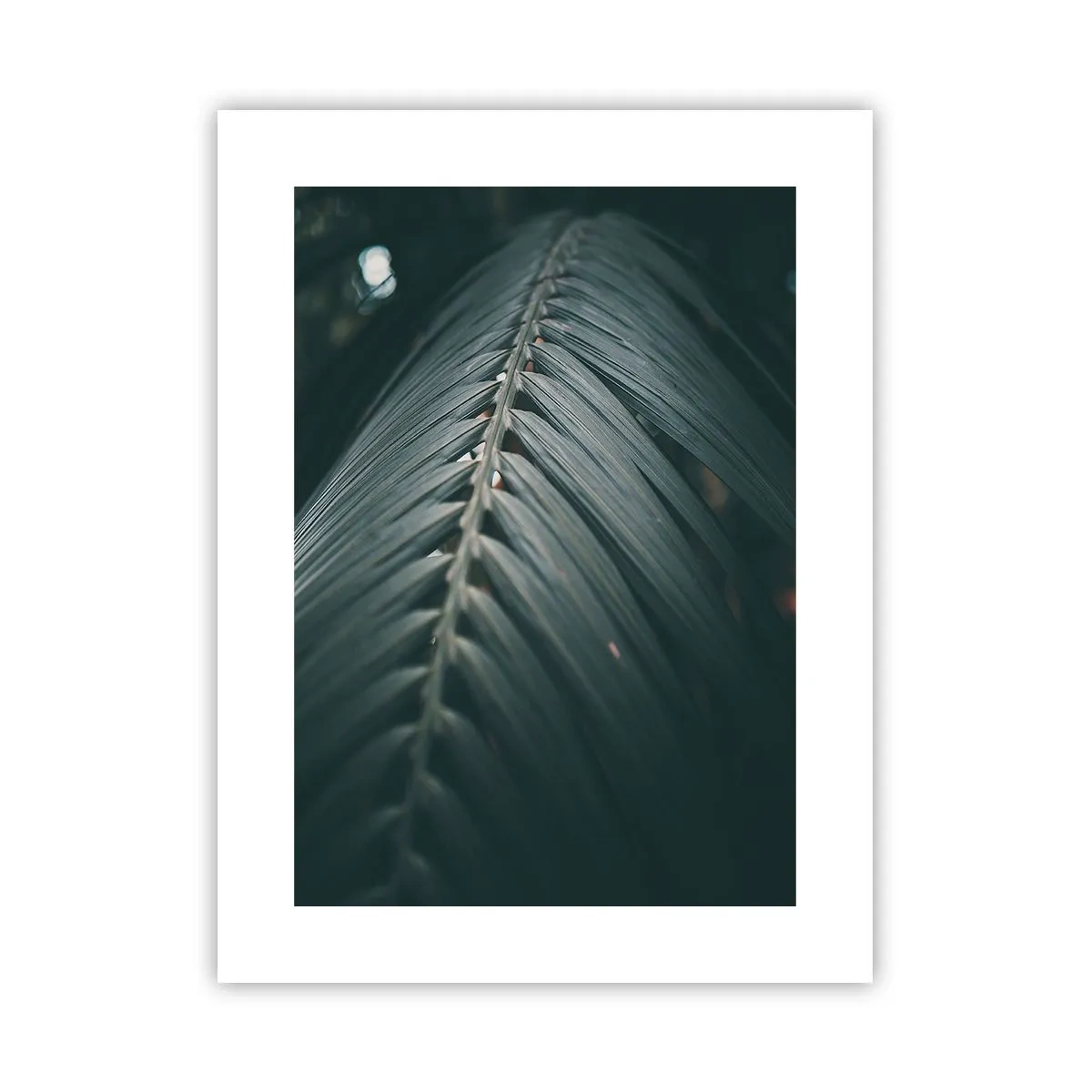 Plakat - Naturens præcision - 30x40 cm