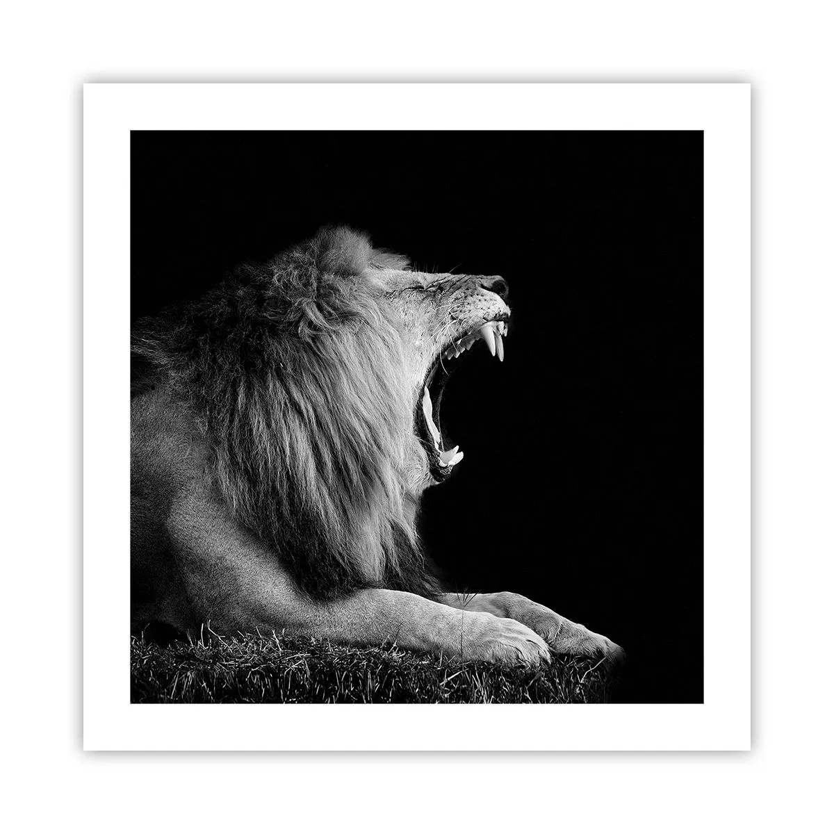 Plakat - Uden tvivl - 50x50 cm