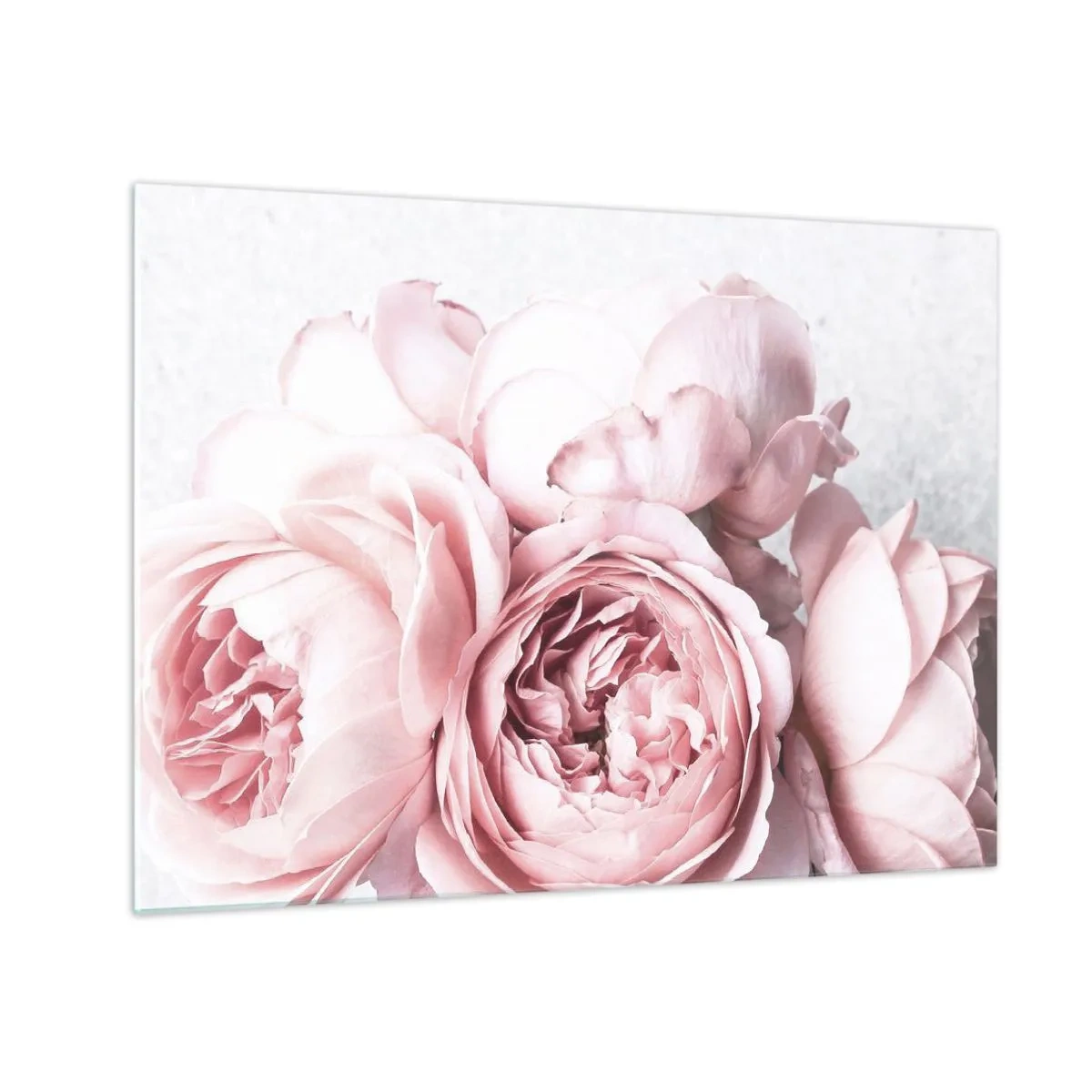 Billede på glas - Nærbillede af lyserøde pæonblomster i blødt lys - 70x50cm - For de romantiske - Moderne vægdekoration til stue og soveværelse ARTTOR
