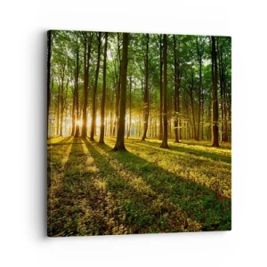 Lærredstryk - Billede på lærred - Fotografering af alle fjedre - 30x30 cm