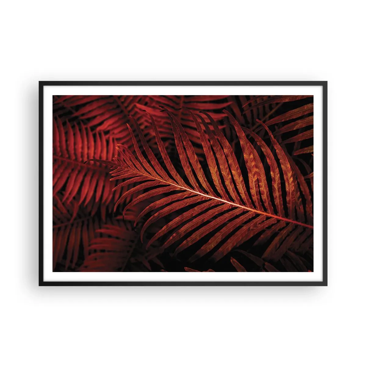 Plakat i sort ramme - Livets varme - 100x70 cm