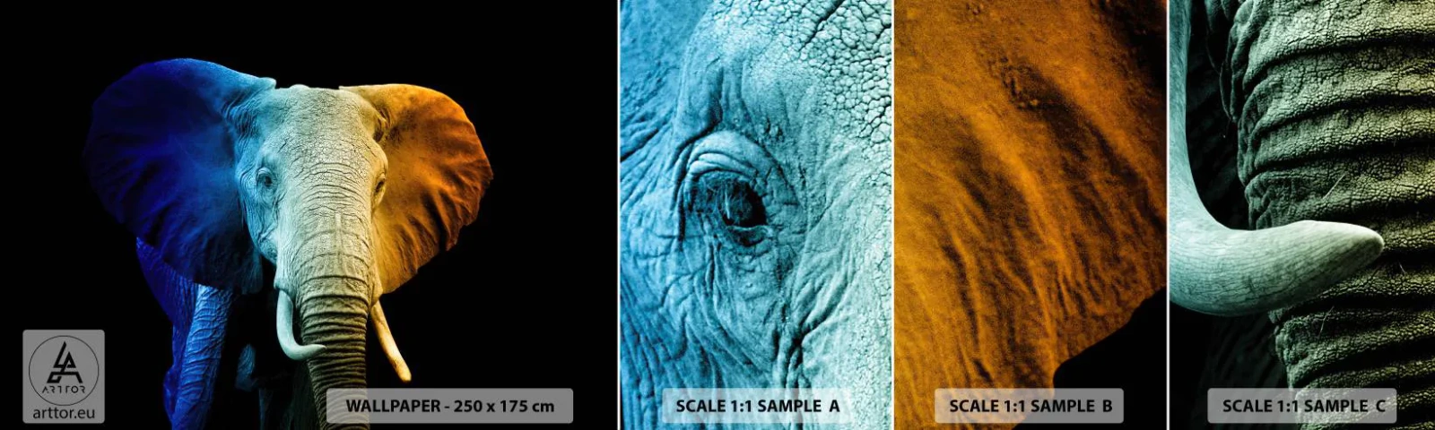Fototapet Prøve Standard Eco - Excentrisk, ikke underlig - Abstraktion, Elefant, Dyr - 100x30 cm