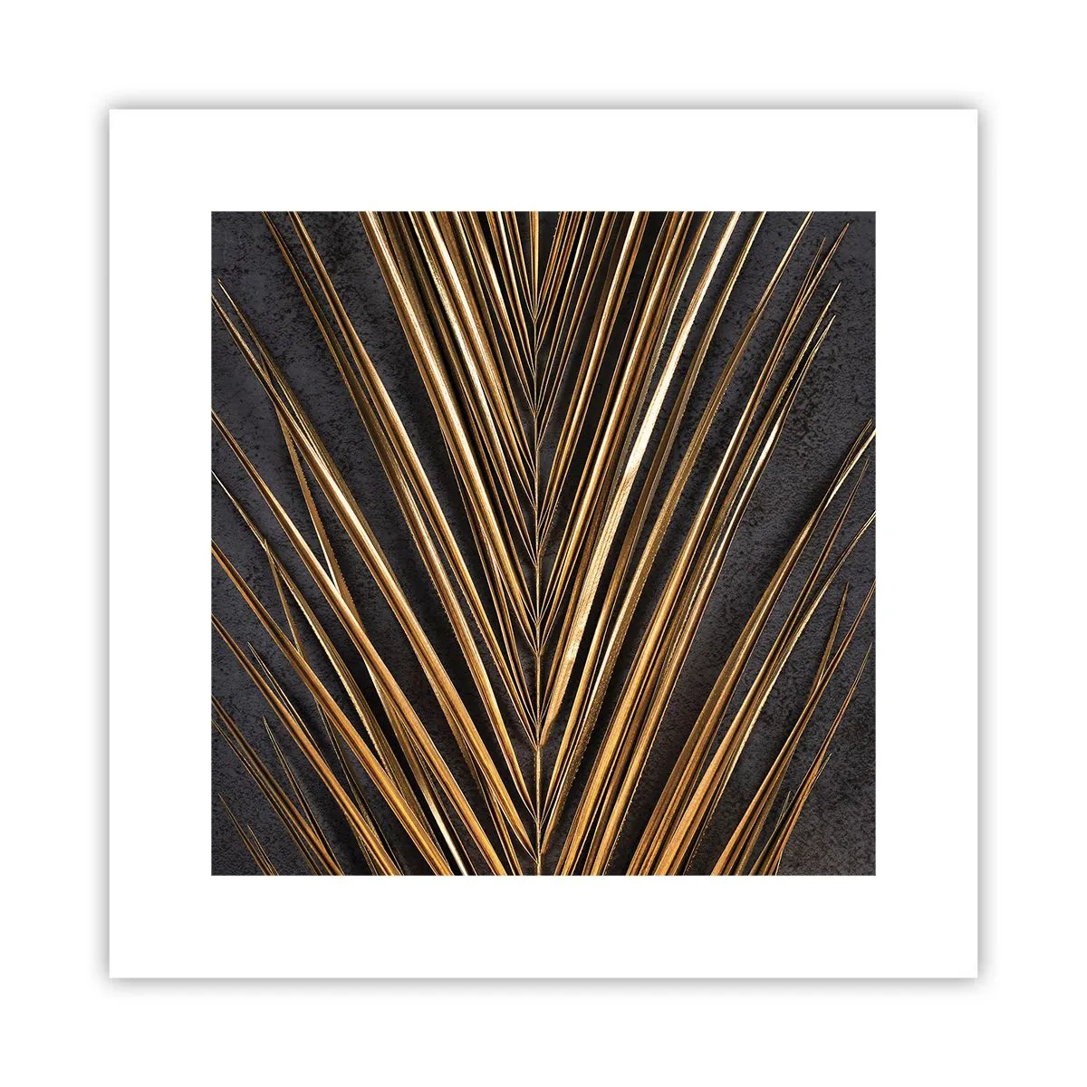 Plakat - Tropernes guld - 30x30 cm