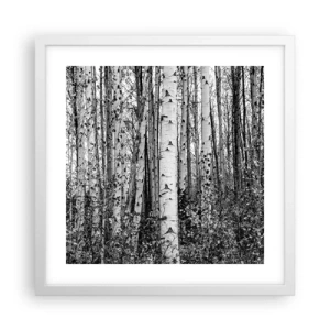 Plakat i hvid ramme - Kolonnade af birk - 40x40 cm