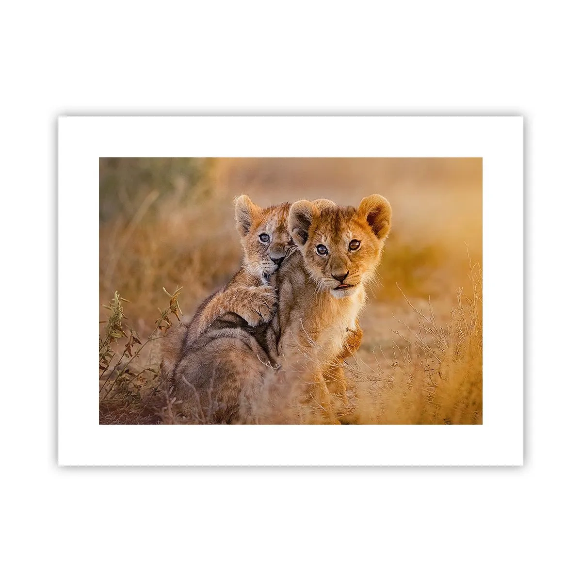 Plakat - Forstyr ikke! Vi har det sjovt - 40x30 cm