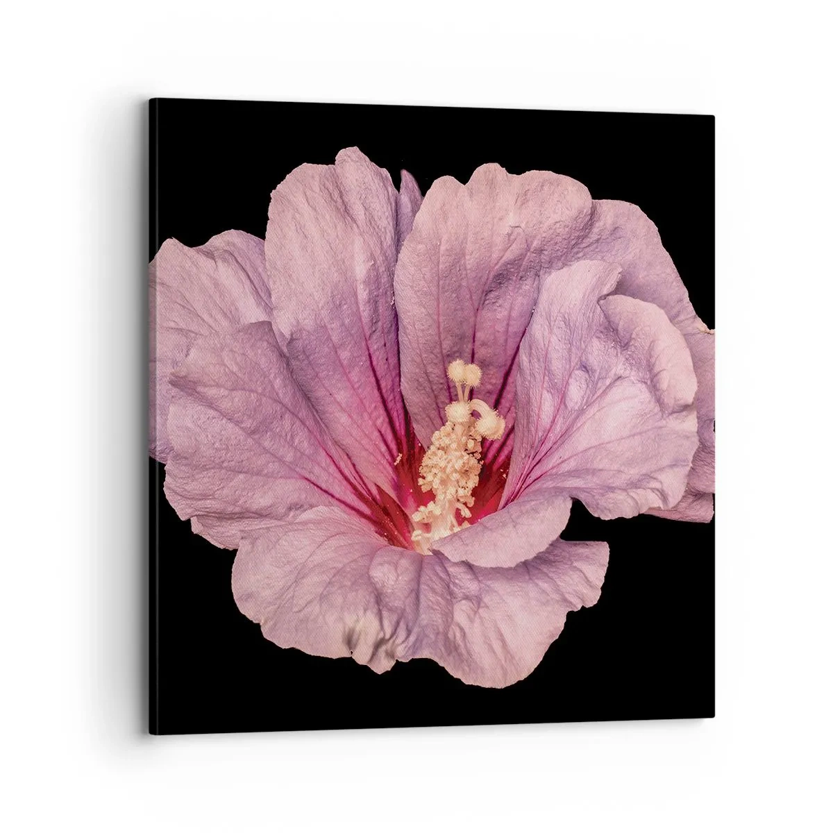 Lærredstryk - Billede på lærred - Lige i hjertet - 70x70 cm