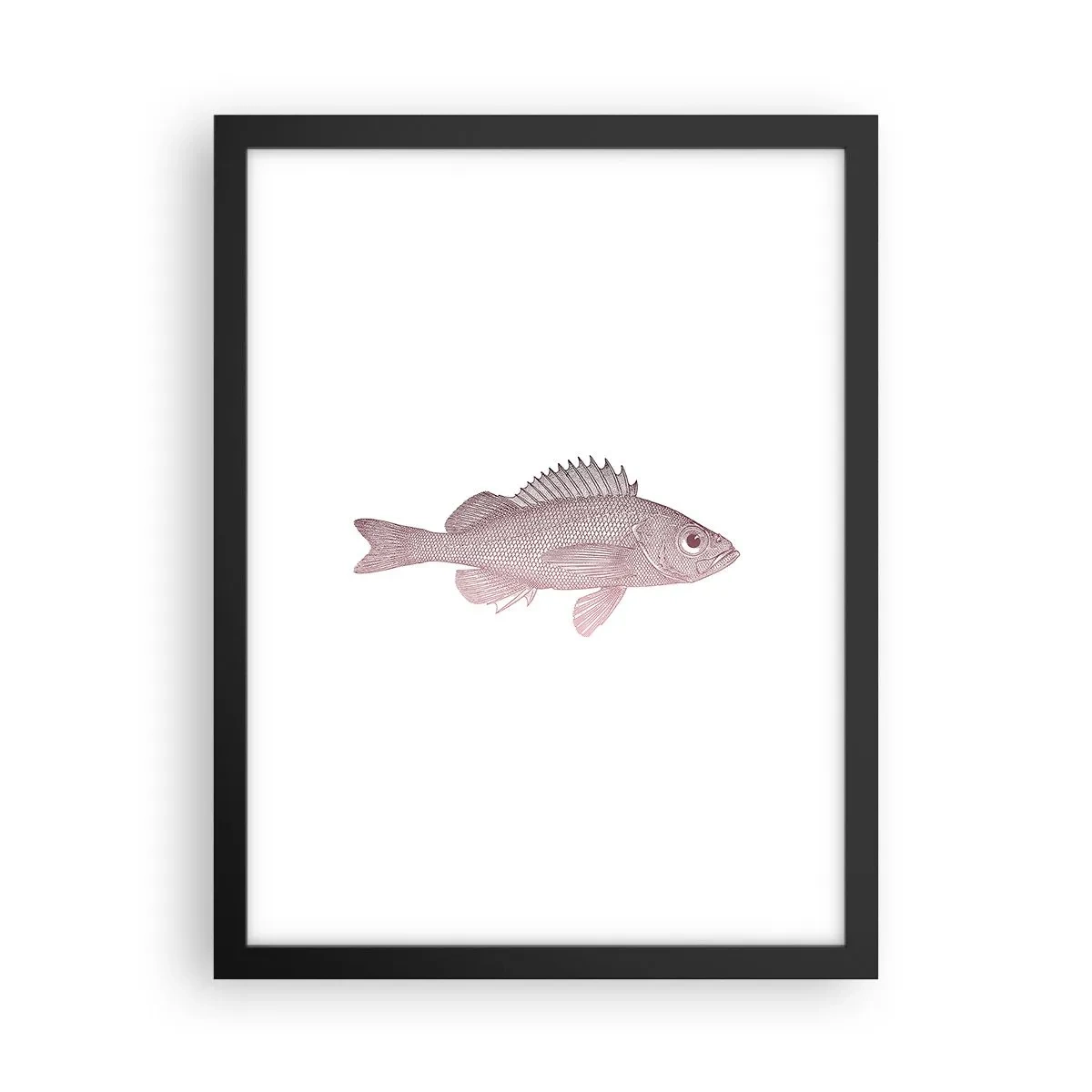Plakat i sort ramme - Fisk med store øjne - 30x40 cm