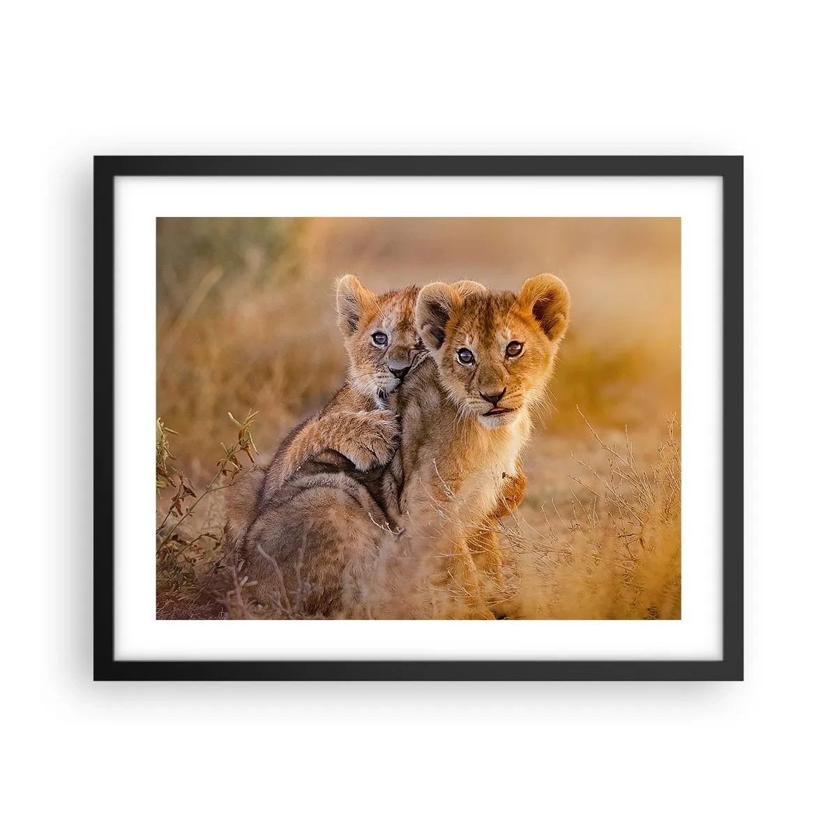 Plakat i sort ramme - Forstyr ikke! Vi har det sjovt - 50x40 cm