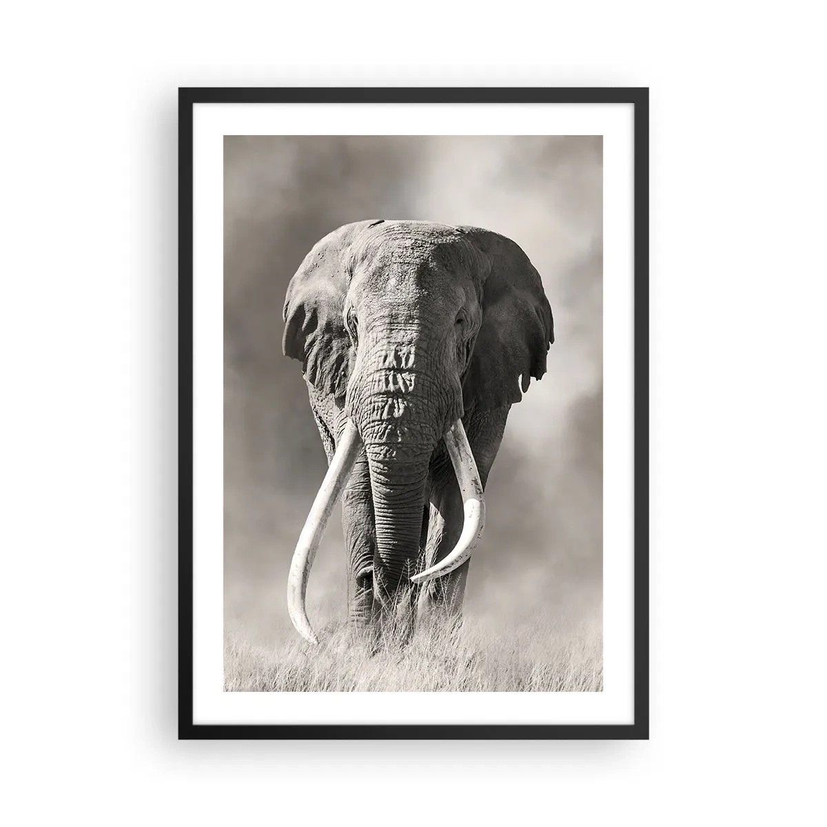Plakat i sort ramme - Monokromt portræt af en majestætisk elefant - 50x70cm - Afrikansk patriark - Moderne vægdekoration til stue og soveværelse ARTTOR