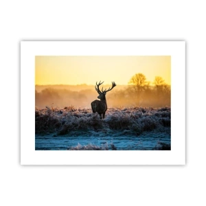 Plakat - Kronet på sine godser - 40x30 cm