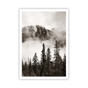 Plakat - Granit hersker - 70x100 cm