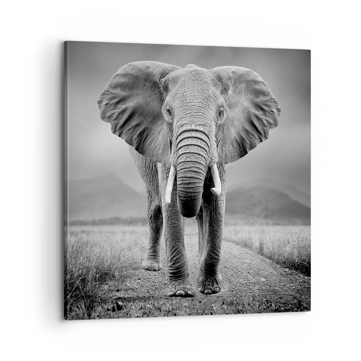 Lærredstryk - Billede på lærred - Værten byder velkommen til - 60x60 cm