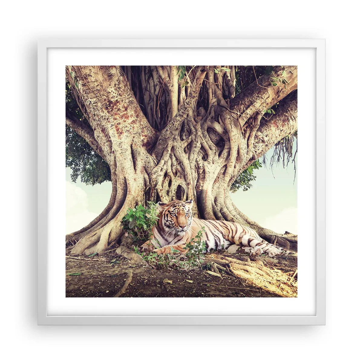 Plakat i hvid ramme - Udsigt fra Første Mosebog - 50x50 cm