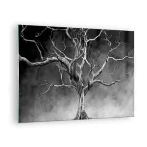 Billede på glas - Sort træ mod tågen - 70x50cm - Primær og hellig - Moderne vægdekoration til stue og soveværelse ARTTOR