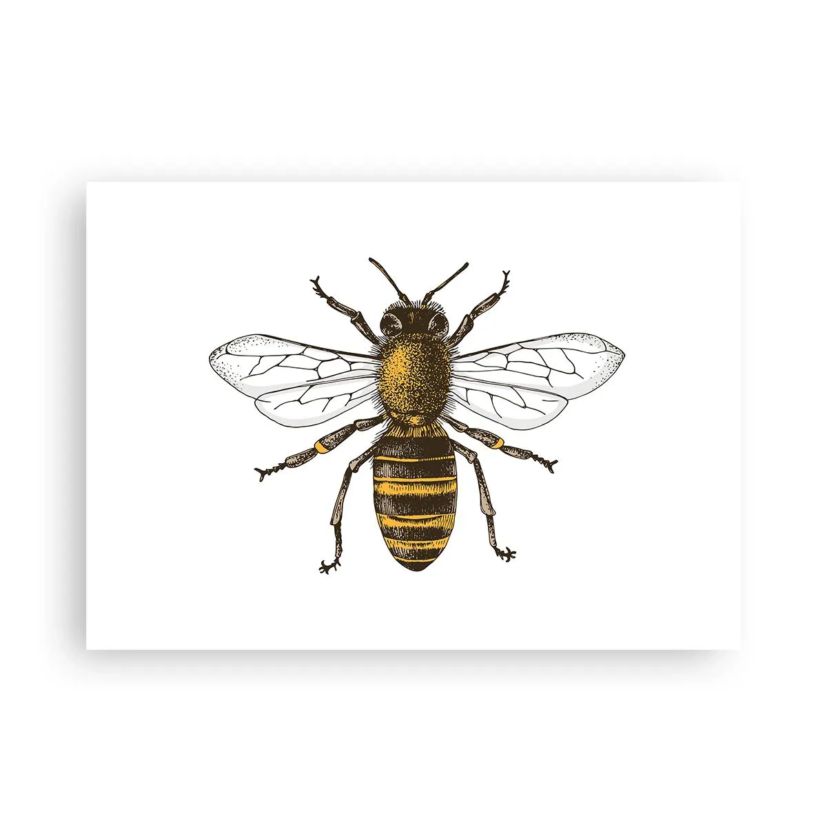 Plakat - Smuk og god - 70x50 cm