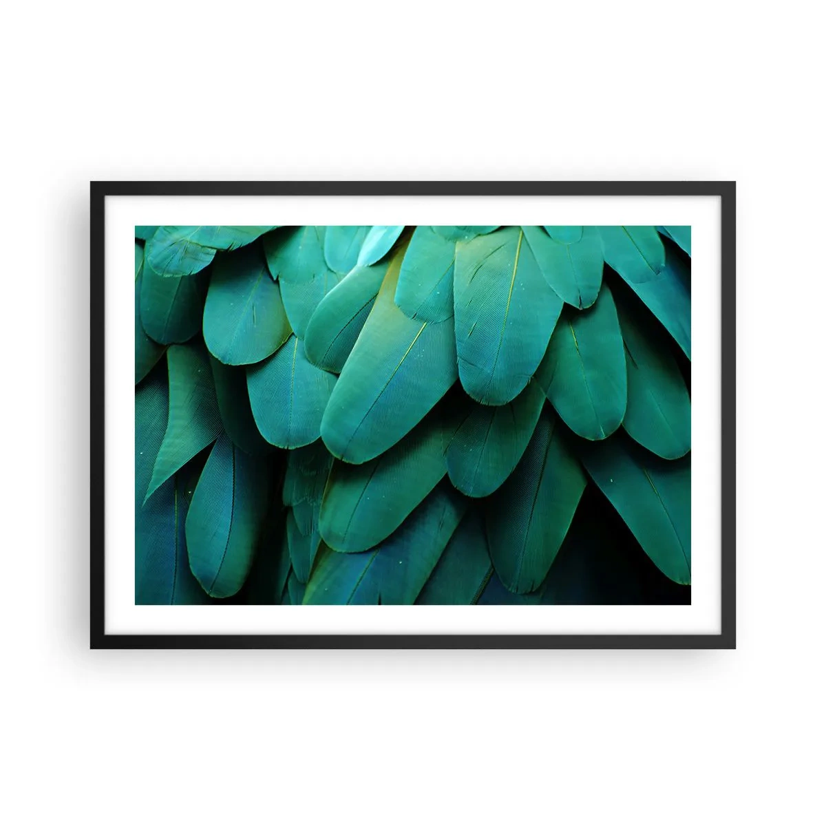 Plakat i sort ramme - Papegøjenaturens præcision - 70x50 cm