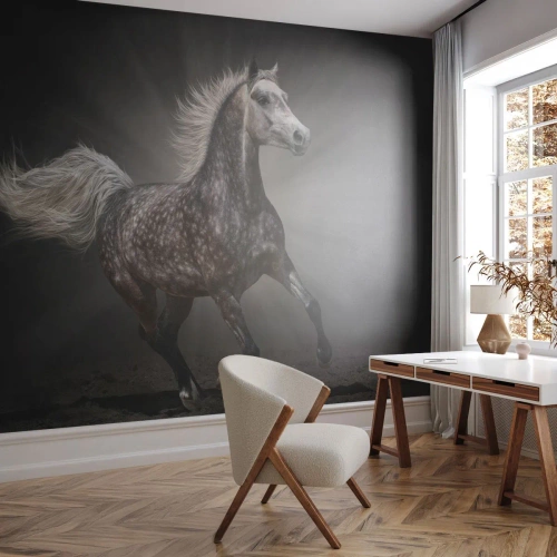 Fototapet Selvklæbende Deluxe Sticker - Gråt er smukt - Dyr, arabisk hest, Natur - 200x140 cm