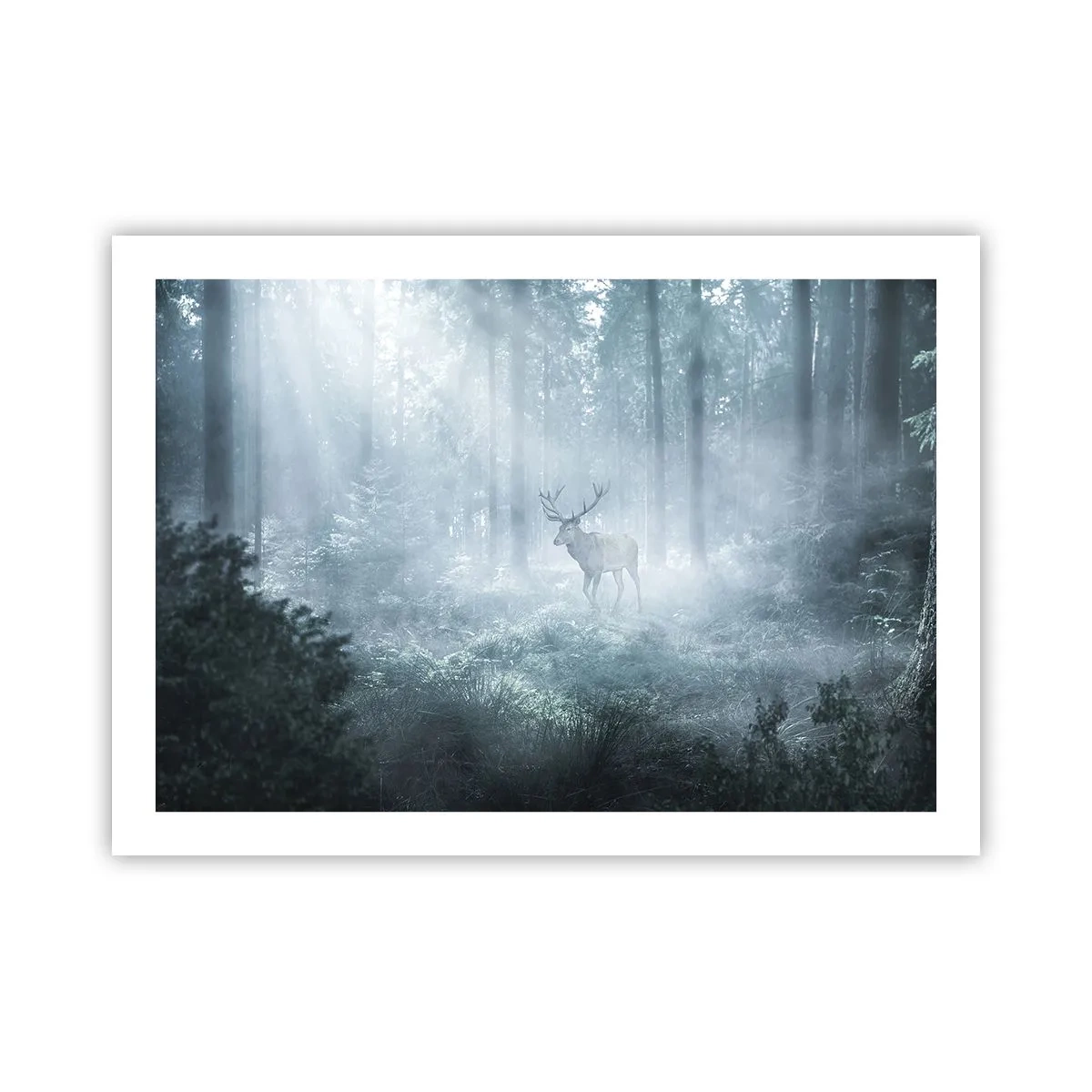 Plakat - Morgenvandring rundt på godset - 70x50 cm