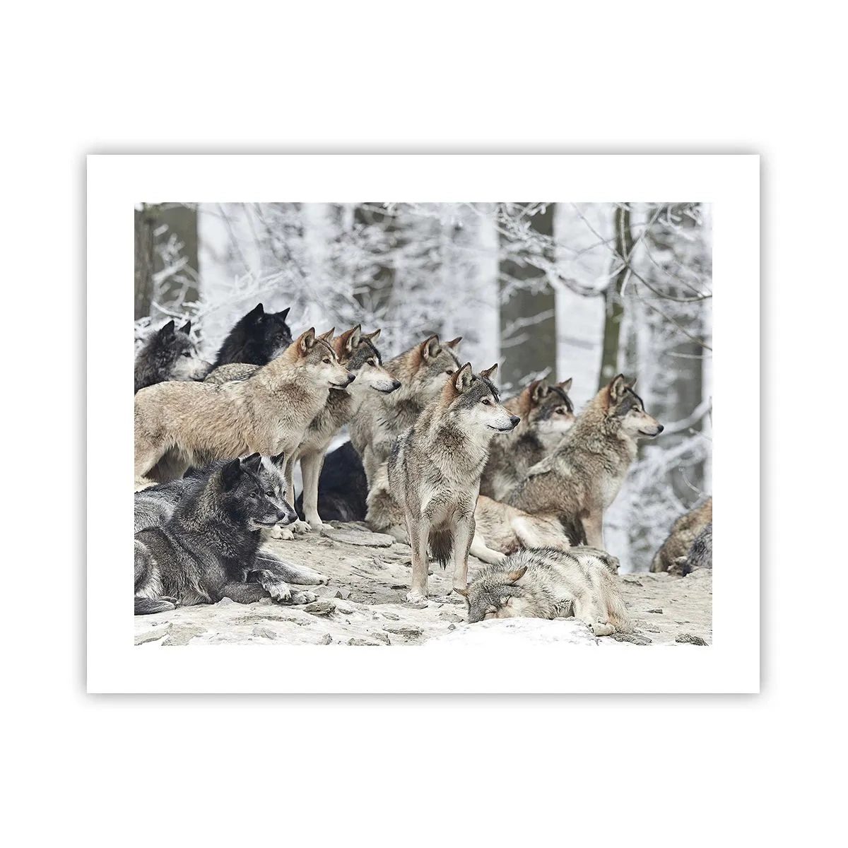 Plakat - Familie og venner - 50x40 cm