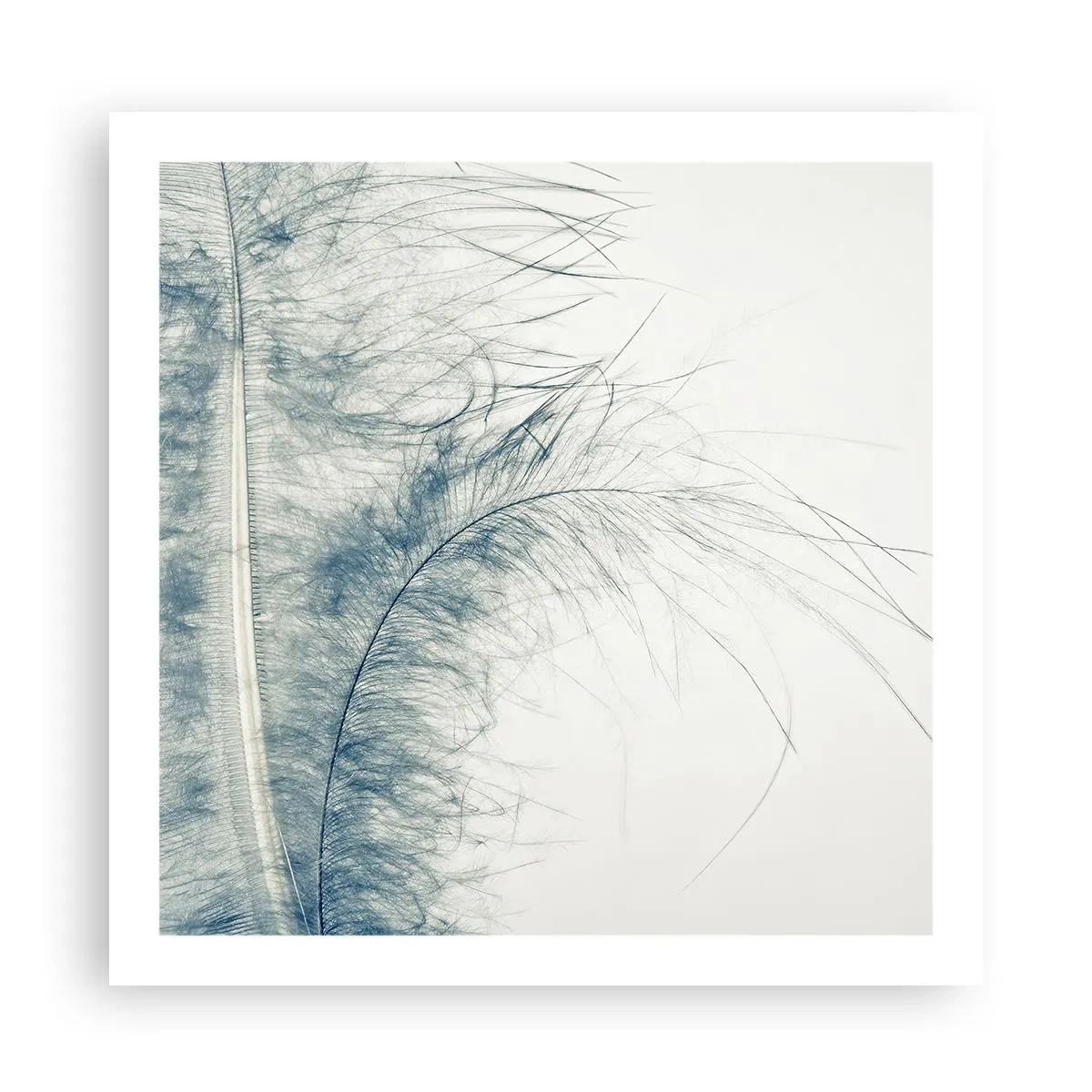 Plakat - Naturens hvisken - 60x60 cm