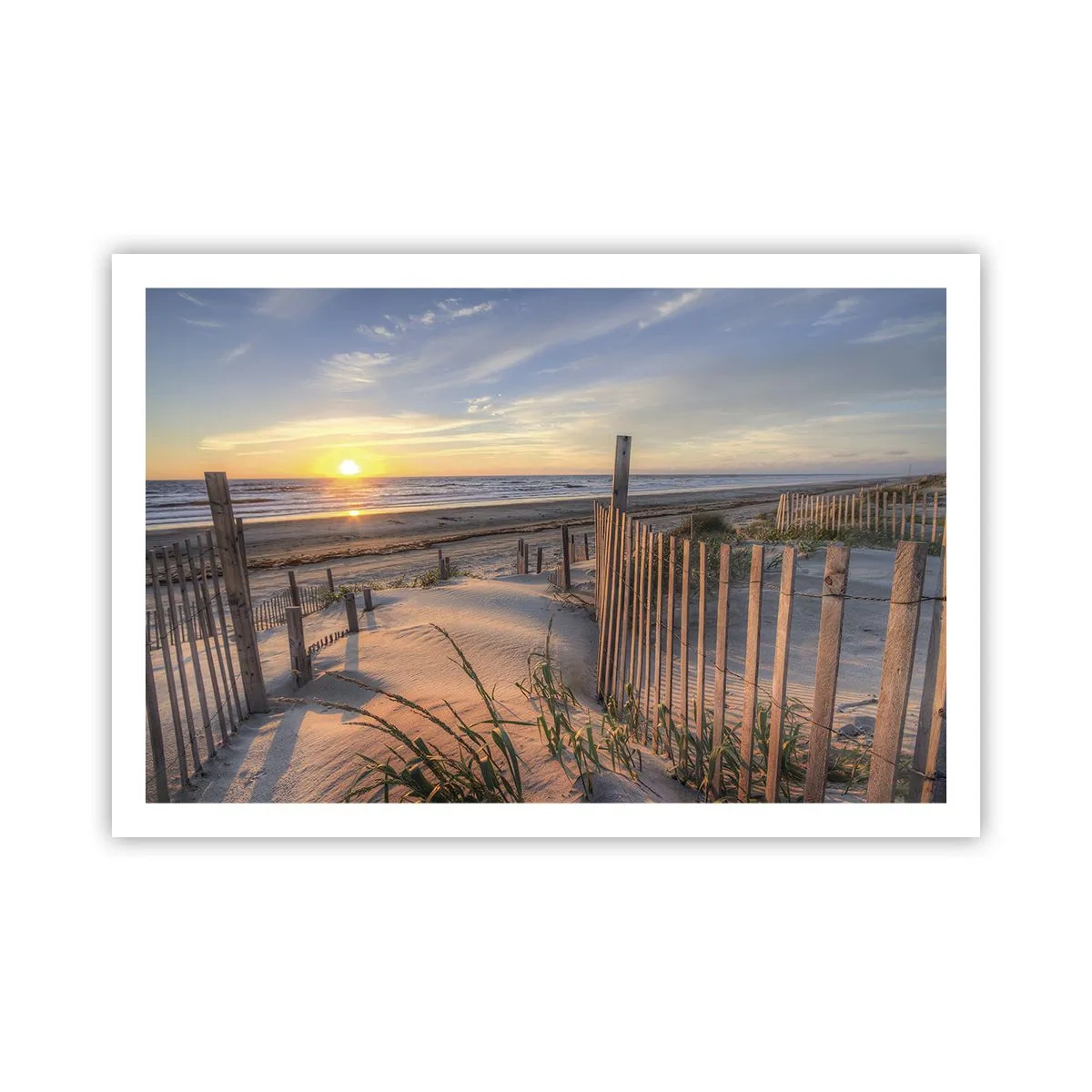 Plakat - Vindens blænding og skygge - 91x61 cm