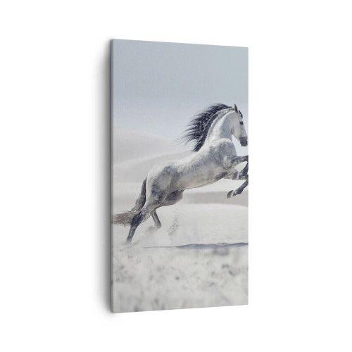 Lærredstryk - Billede på lærred - Arabisk prins - 45x80 cm