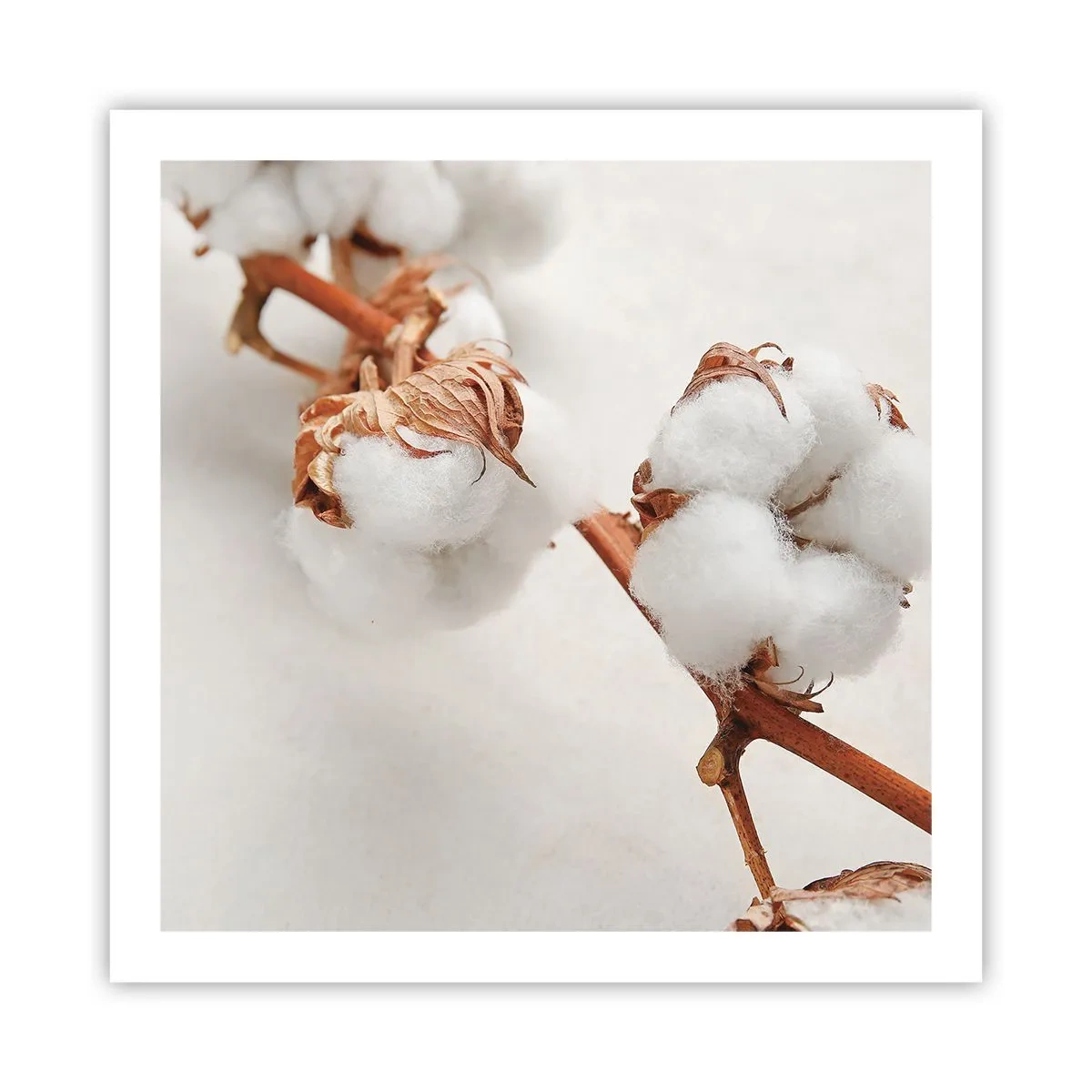 Plakat - Bare kramme - 60x60 cm