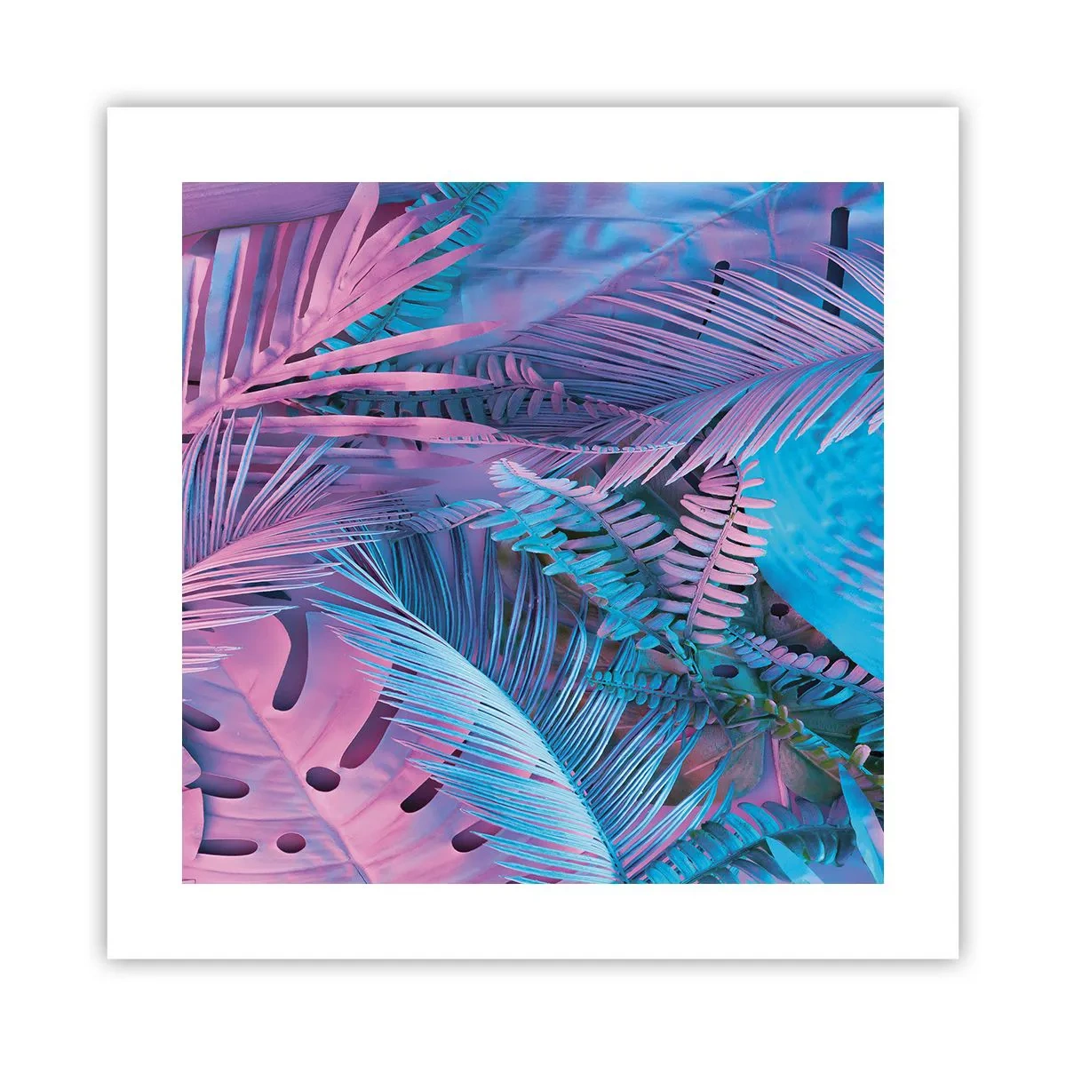 Plakat - Troperne i lyserød og blå - 40x40 cm