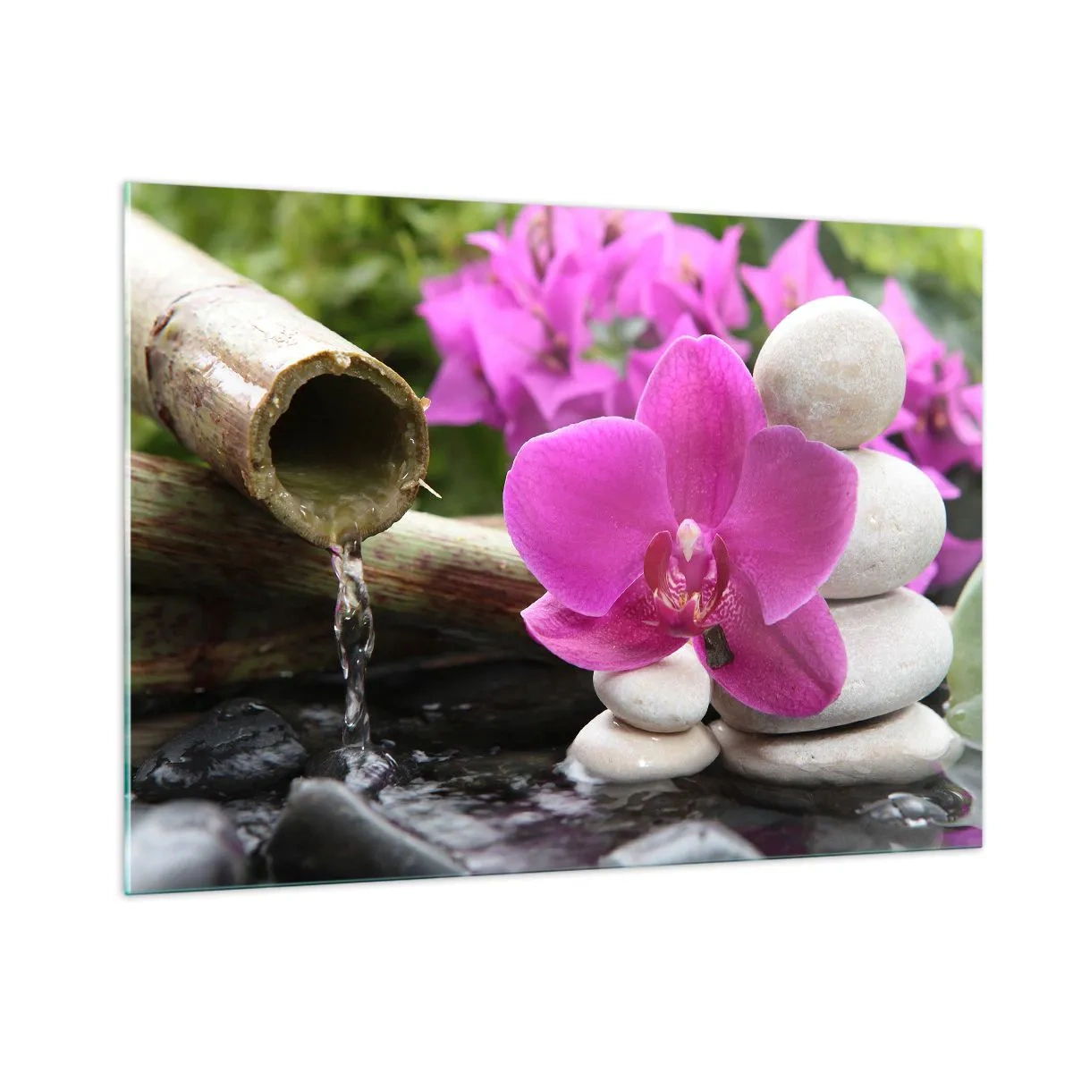 Billede på glas - Du hviler allerede - 100x70 cm