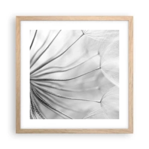 Plakat i ramme af lyst egetræ - Blæsende drager - 40x40 cm