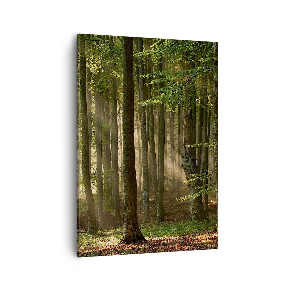 Lærredstryk - Billede på lærred - Strålende på en forårsmorgen - 50x70 cm