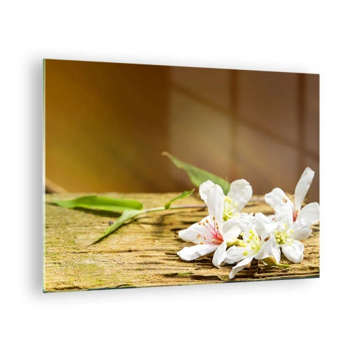 Billede på glas - Hvide blomster på en træbaggrund i varmt lys - 70x50cm - Et uskyldigt løfte - Moderne vægdekoration til stue og soveværelse ARTTOR