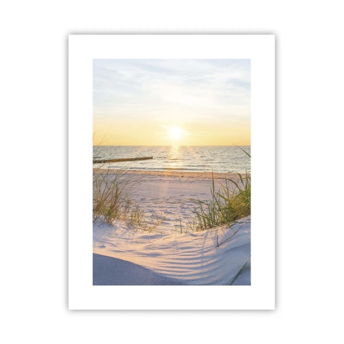 Plakat - Havet brummer, fuglene synger, en vild strand midt i græsset.... - 30x40 cm