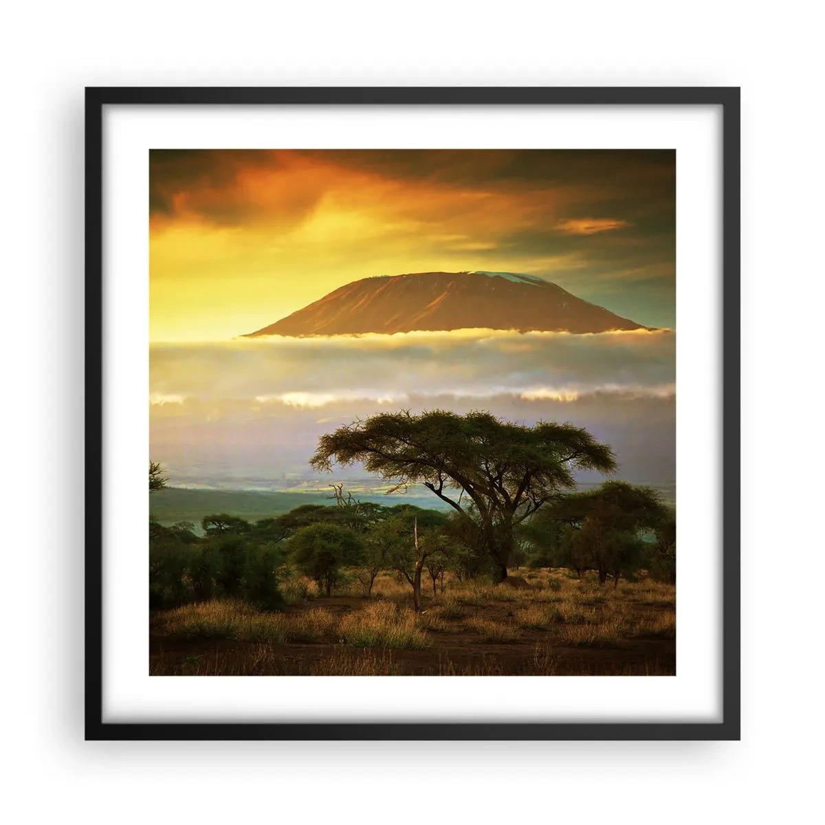 Plakat i sort ramme - En rejsendes drøm - 50x50 cm