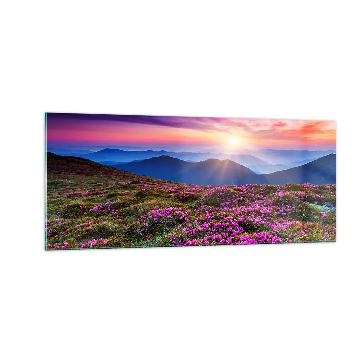 Billede på glas - Urter duftede friske bundter fra niw - 100x40 cm