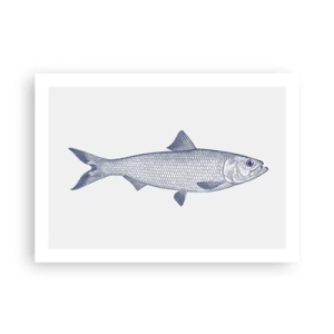 Plakat - Hilsner fra de nordlige have - 70x50 cm